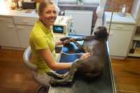 Willkommen in der Tierarztpraxis Marie-Luise Maack!